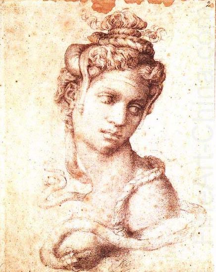 Michelangelo Buonarroti Cleopatra china oil painting image